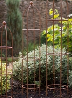 Barrington Small Obelisk Plant Support in Aged Metal