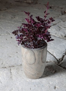 Bothy Pot,  Large - Paulownia Wood