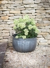 Large Shilton Wash Tub Planter