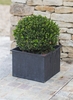 Large Square Vence Planter
