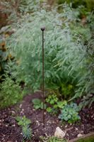 Set of 2 Barrington Plant Stakes