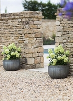 Set of 2 Shilton Wash Tub Planters