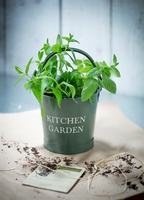 Small Kitchen Garden Bucket in Thyme