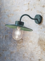 St Ives Swan Neck Light - Thyme