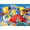 Royal & Langnickel Large Painting by Numbers Tropical Fish