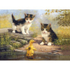 Royal & Langnickel Large Painting by Numbers Pond Pals