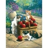 Royal & Langnickel Small Painting by Numbers Bumper Crop