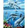 Royal & Langnickel Small Painting by Numbers Dolphins