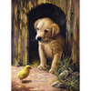 Royal & Langnickel Small Painting by Numbers Labrador Puppy