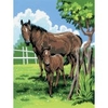 Royal & Langnickel Small Painting by Numbers Mare and Foal