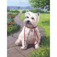 Royal & Langnickel Small Painting by Numbers Time for a Walk