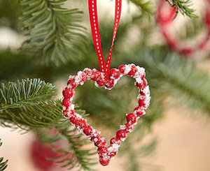 Red Berry Heart