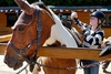 Half Day Western Horse Ride with BBQ