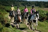 Half Day Western Horse Ride with Lunch for Two