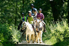Half Day Western Riding Experience for Kids