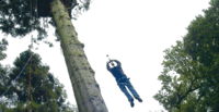 Junior 3G Swing,  Fan Descender & Zip Wire For Two