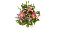 Lily Bouquet