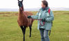 Llama Experience with Cream Tea for Two