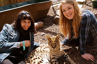 Meet the African Big Cats for Two
