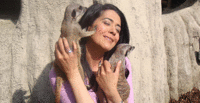 Meet the Meerkats for Two