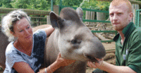 Mini Zoo Safari Experience for Two