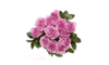 Pink Rose Bouquet
