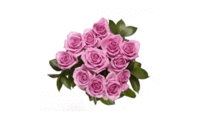 Pink Rose Bouquet