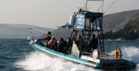 Sea Safari for Two