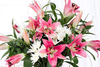 Stargazer Lily Bouquet