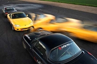 Stunt Taster
