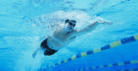 Swim Membership