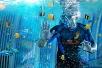The Bear Grylls Snorkelling Experience