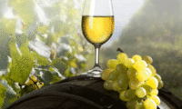 Three Choirs Vineyard Tour and Overnight Stay for Two