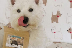 Top Dog Treats