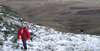 Walking Experience in Snowdonia National Park for Two