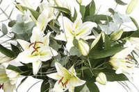 White Elegance Longi Lily Bouquet