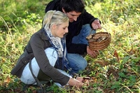 Wild Food Foraging for Two