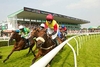 Winning Race Day for Two