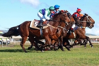 Winning Race Day for Two