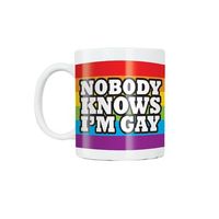 Nobody Knows I’m Gay Mug