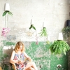 Sky Planter