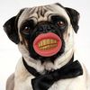 Smile Dog Toy