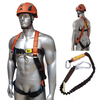Aresta Scaffolder Kit 2 - Double Point Harness,  Elasticated Webbing Lanyard