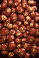 Albert Bartlett Potato Apache - Tubers