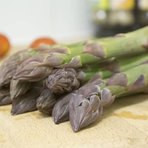 Asparagus Mondeo Crowns X10
