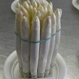 Asparagus Vittorio Crowns X5