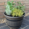 Bbq Herb Plants Complete Planting Set