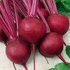 Beetroot Seeds - Cardeal F1 Hybrid