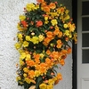 Begonia Illumination Apricot Shades With 2x Easi Plant 12in Baskets