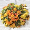 Begonia Illumination Plants - Duo Pack 96 Medium Begonia Plug Plants